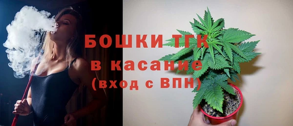 амф Касимов