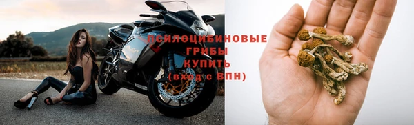 амф Касимов
