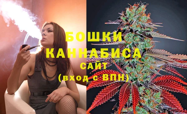 амф Касимов
