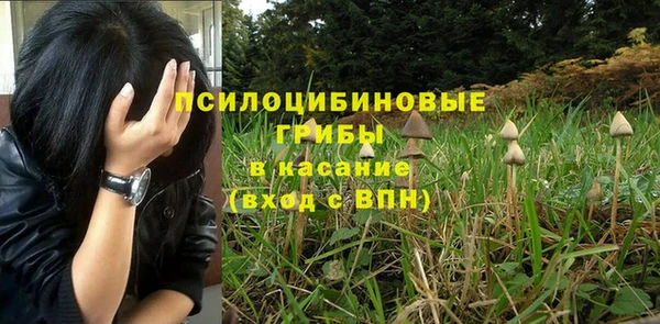 амф Касимов