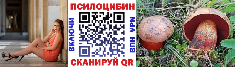 магазин  наркотиков  Льгов  Галлюциногенные грибы Magic Shrooms 